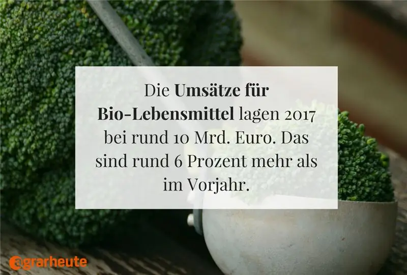 Галерея изображений