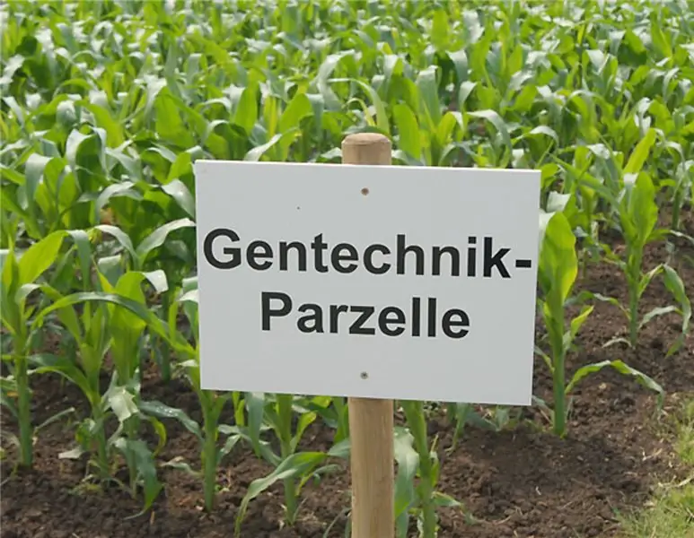 85 институтов призывают к смягчению закона о генной инженерии