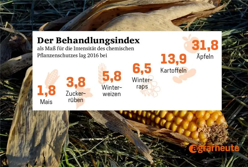 Фотогалерея Факты о защите растений