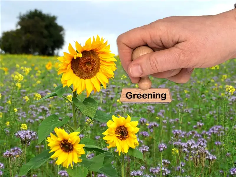 Зеленая резиновая марка