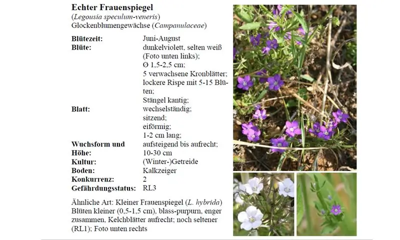 Настоящее женское зеркало