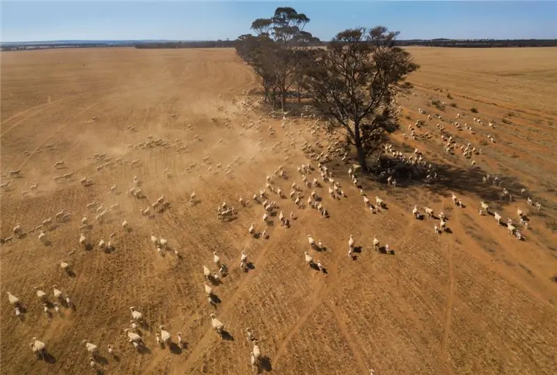 Ферма Австралия