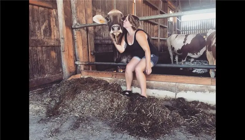 Каддл Кастл