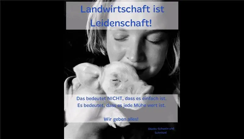 Энн Кристин Ниггело