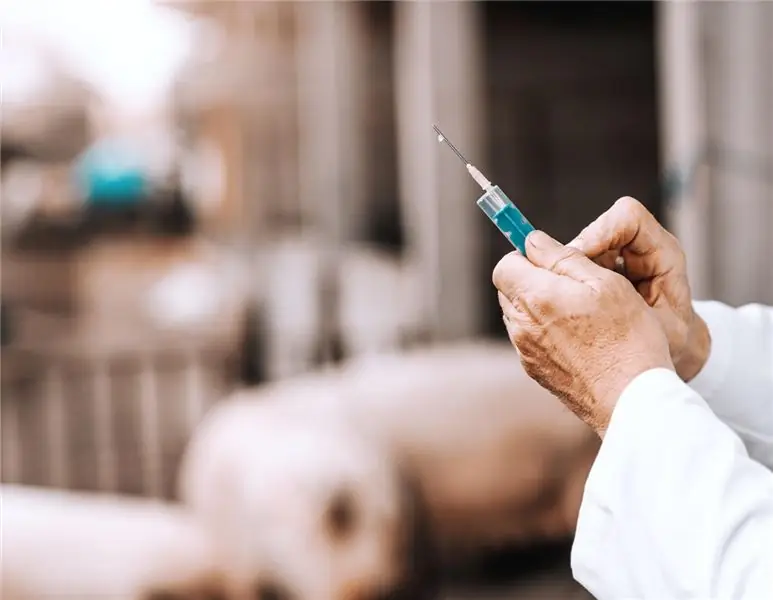 Взрыв на фармацевтическом рынке: Ceva проглатывает ветеринарное подразделение IDT