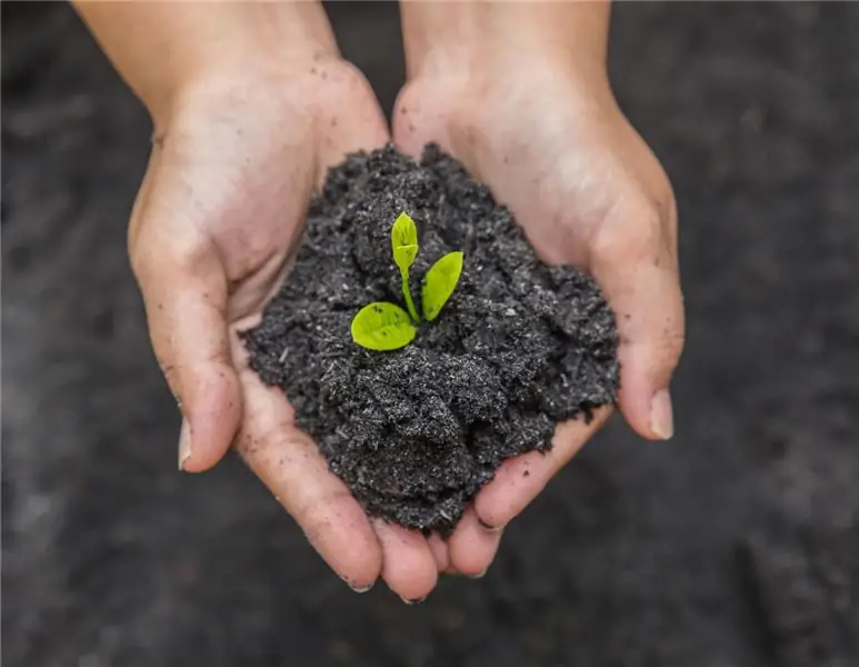 1, 3 миллиарда дополнительных евро на защиту климата в сельском хозяйстве