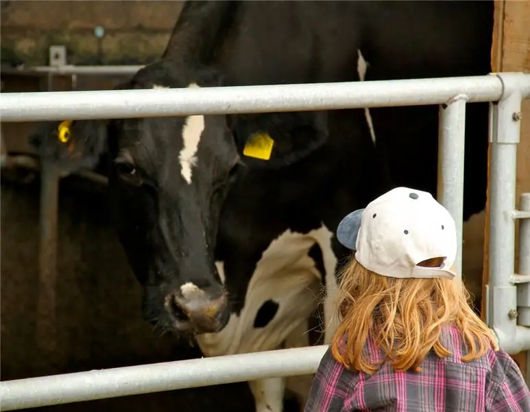 Новый знак одобрения фермерских праздников