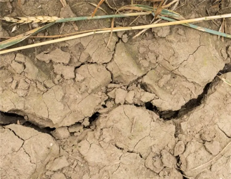 Экстремальная погода: вот как вы, как фермер, можете реагировать