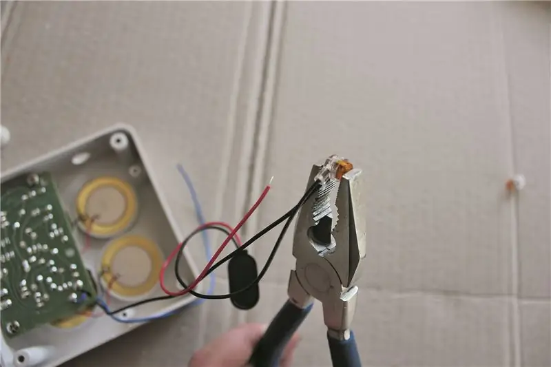 Бренд диких спасателей собственного производства