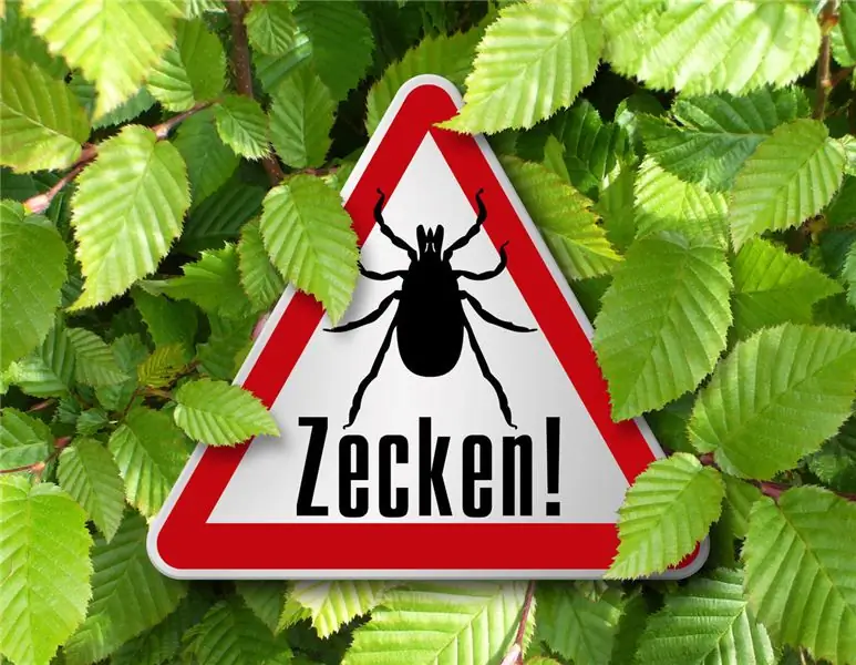 Профессиональный риск: инфекции болезни Лайма достигли рекордно высокого уровня