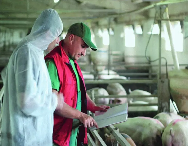 Спорно обсуждается: контроль благополучия животных на скоте