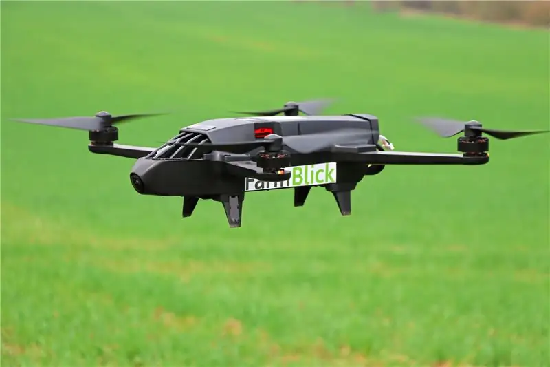 Разведение дронов попугая мятлика (1)