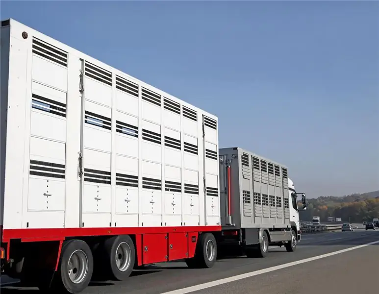 Проверка фактов Перевозка животных в Германии: таковы правила