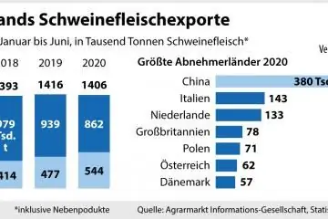 Диаграмма, показывающая страны-покупатели экспорта свинины из Германии в 2020 г