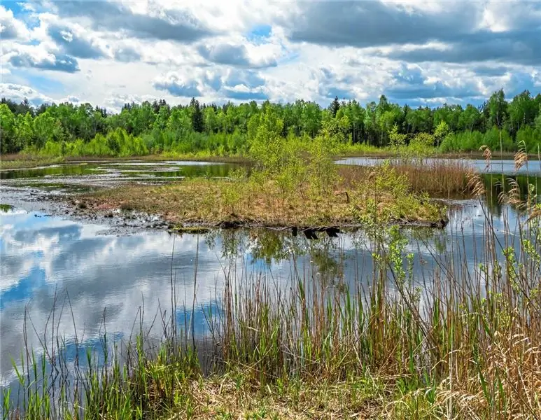 Защита болот: эти вмешательства в сельское хозяйство запланированы