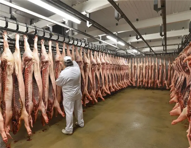 Скандал с защитой животных: Хаук закрыл скотобойню