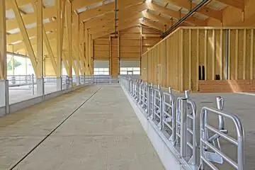 Строительство сарая молочного сарая планировка сарая