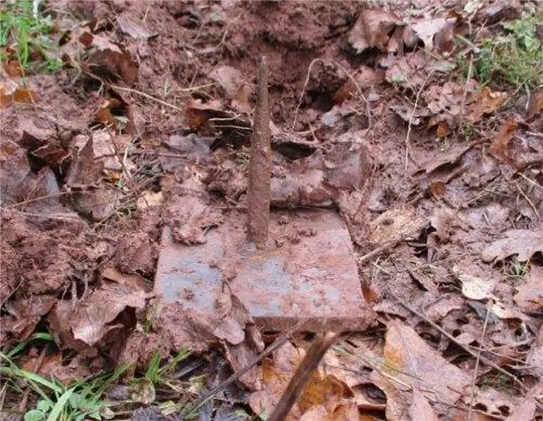 Click hits: Саботаж, производство молока в Китае, рост цен на древесину