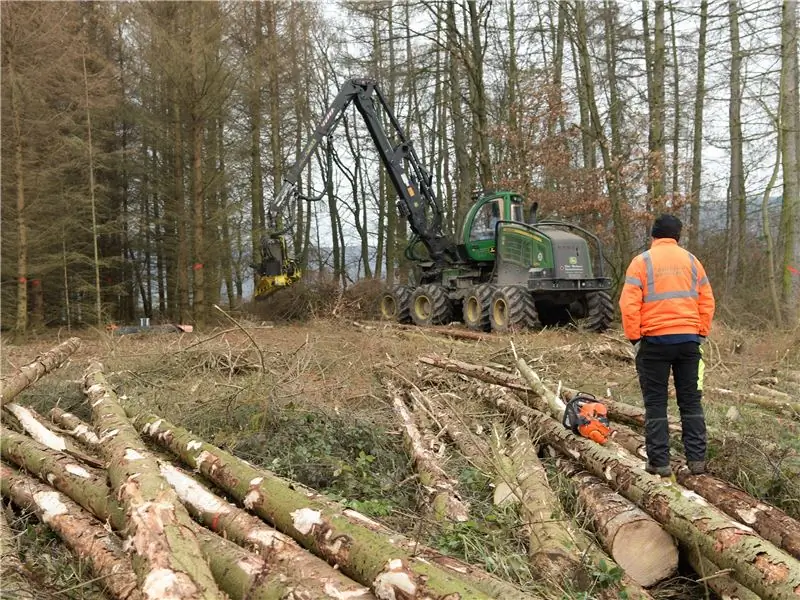 Заготовка древесины комбайном