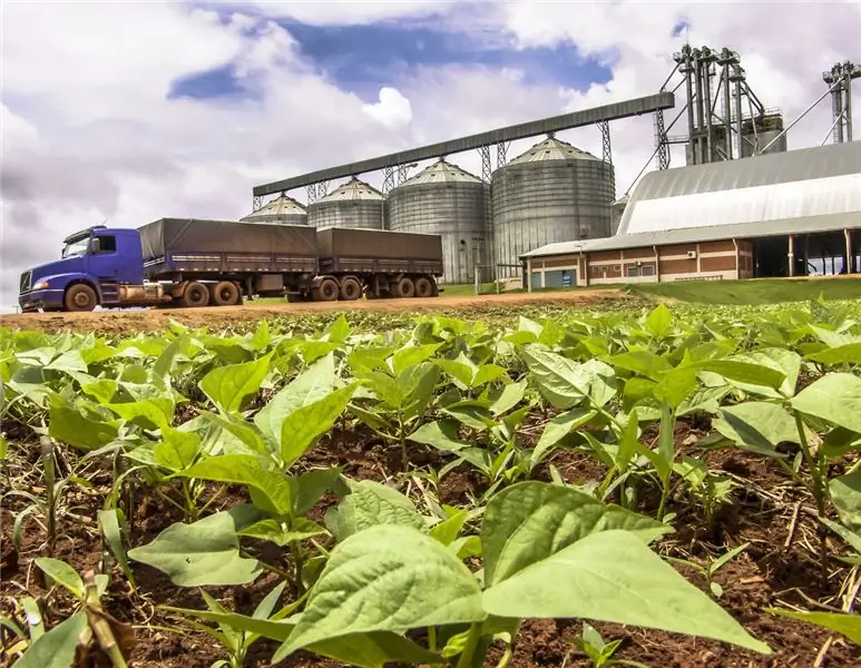 Бразилия хочет и дальше нажимать на газ в экспорте сельскохозяйственной продукции