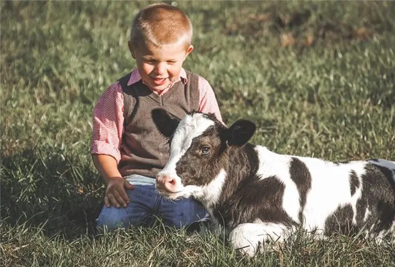 ребенок с теленком