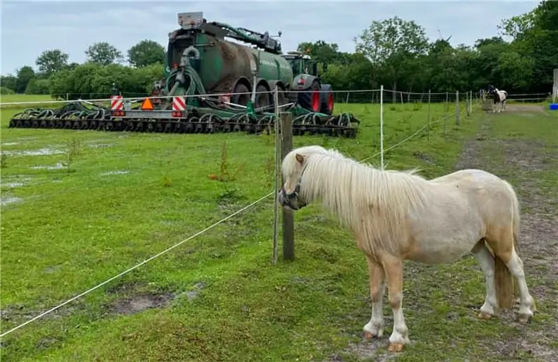 Пони наблюдает, как трактор разбрасывает жидкий навоз