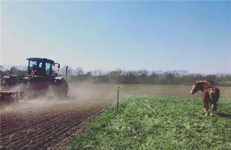 Лошадь стоит на пастбище и смотрит, как трактор пашет поле