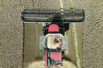 Зерноуборочный комбайн Герхарда Одинги в действии: Case 9230 с 12-метровой жаткой Honey Bee