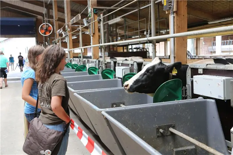 Испытательная конюшня в Университете Хоэнхайма