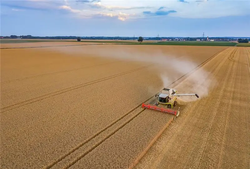 поле во время сбора урожая