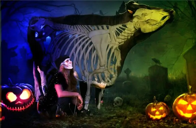 Фермер в костюме Хэллоуина с коровой