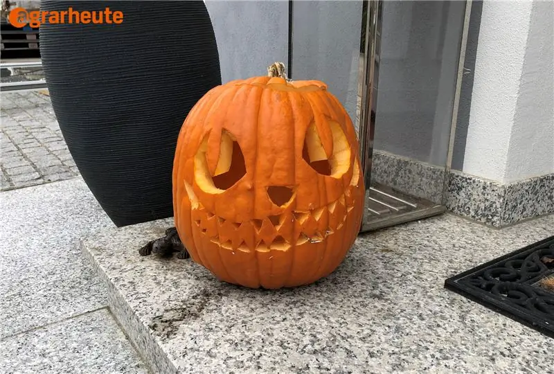 Хэллоуинская тыква Льюиса Кэрролла