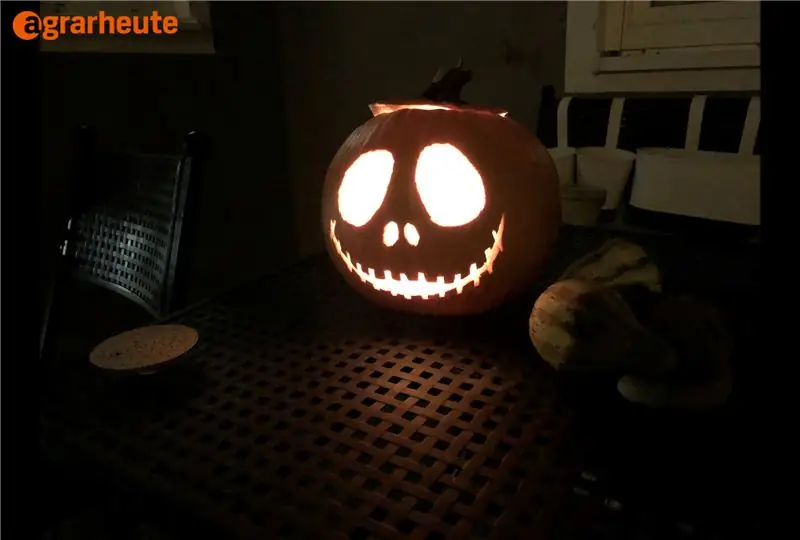 Хэллоуинская тыква в темноте