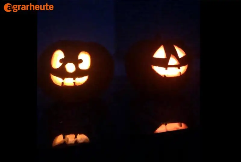 Два тыквенных фонаря в темноте