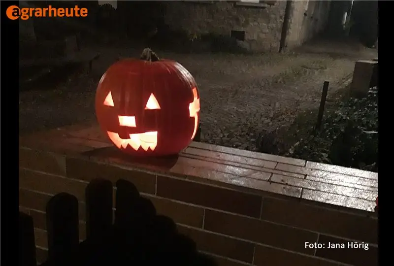 Тыква на стене