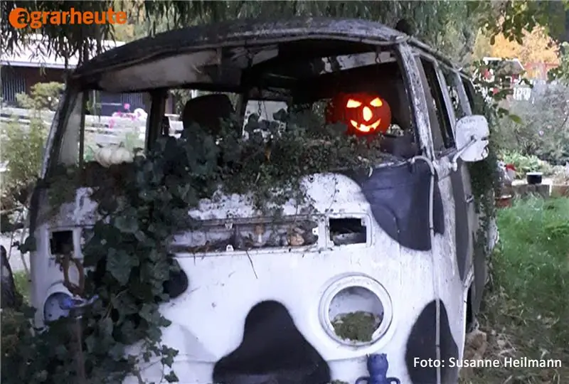 Тыквенное украшение на Хэллоуин - ужас в старой автокатастрофе