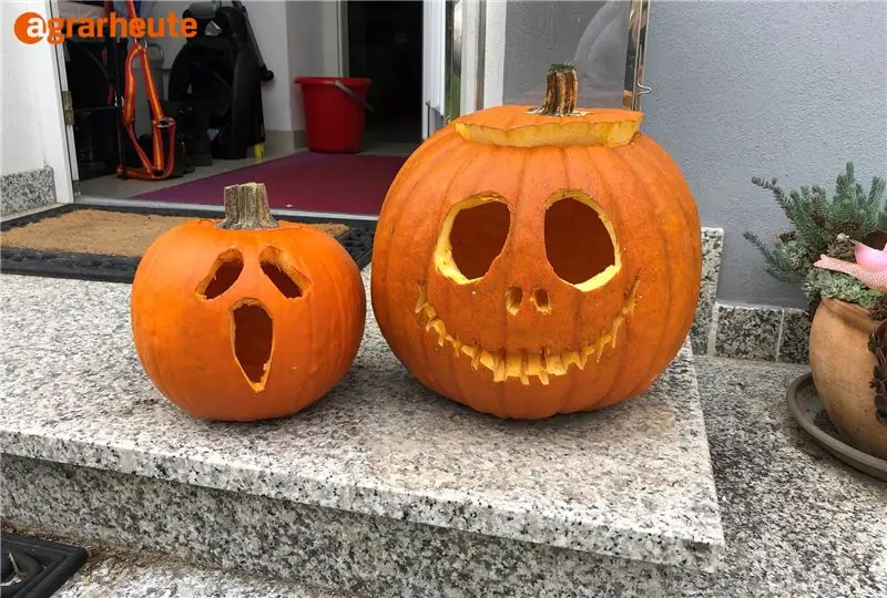 Две тыквы на пороге