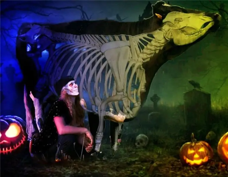 Хэллоуин: лучшие лица тыкв с фермы