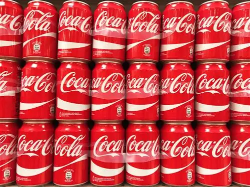 Как Coca-Cola использует искусственный интеллект, чтобы оставаться на вершине рынка безалкогольных напитков