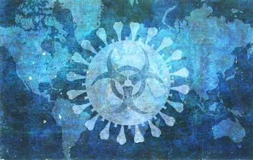 ИИ и большие данные не сотворят чудес в борьбе с коронавирусом