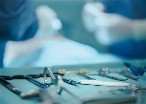 Theator, платформа искусственного интеллекта, которая анализирует видео операций, закрыла свою серию A за 39,5 млн долларов