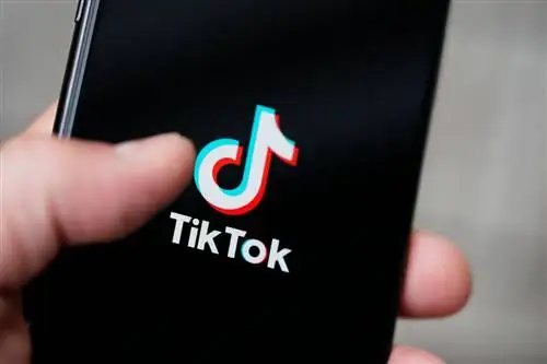 TikTok создает собственную платформу для разработки AR, TikTok Effect Studio