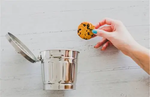 Как рекламодателям следует подготовиться и адаптироваться к эпохе пост-cookie?