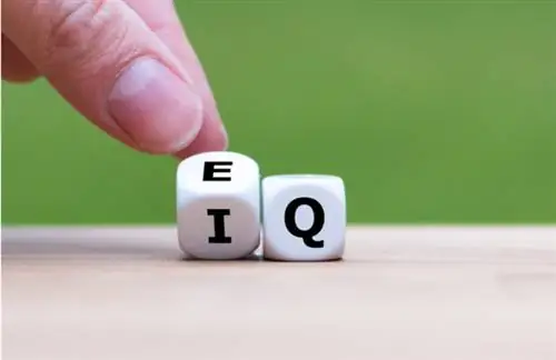 Новый век уязвимости влиятельных лиц и почему брендам следует обратить на это внимание