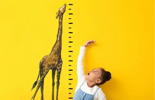 4 тактики борьбы с неожиданным быстрым ростом малого бизнеса