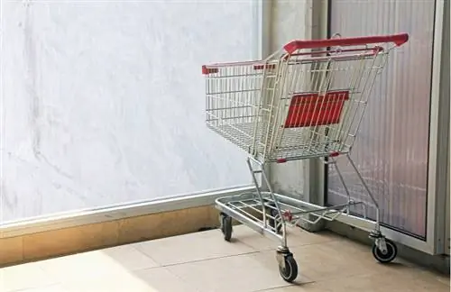 Загадочный случай с брошенной корзиной для покупок в Интернете