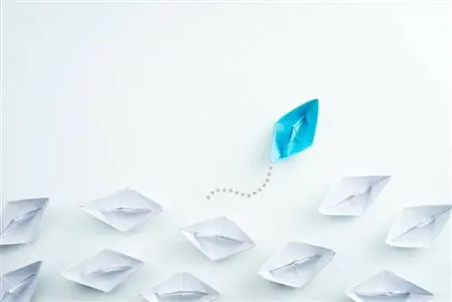 Подкаст – Как компании внедряют инновации для достижения долгосрочного успеха