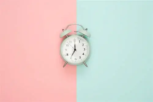 Улучшите маркетинг вашей школы всего за 15 минут