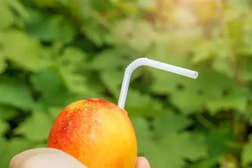 Как создать эффективные кампании по привлечению потенциальных клиентов