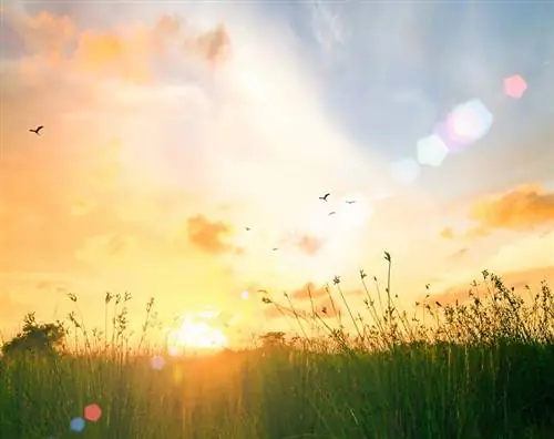 Будущее банковского дела светлое